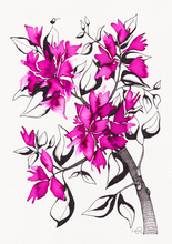 Load image into Gallery viewer, 07. Bougainvillea