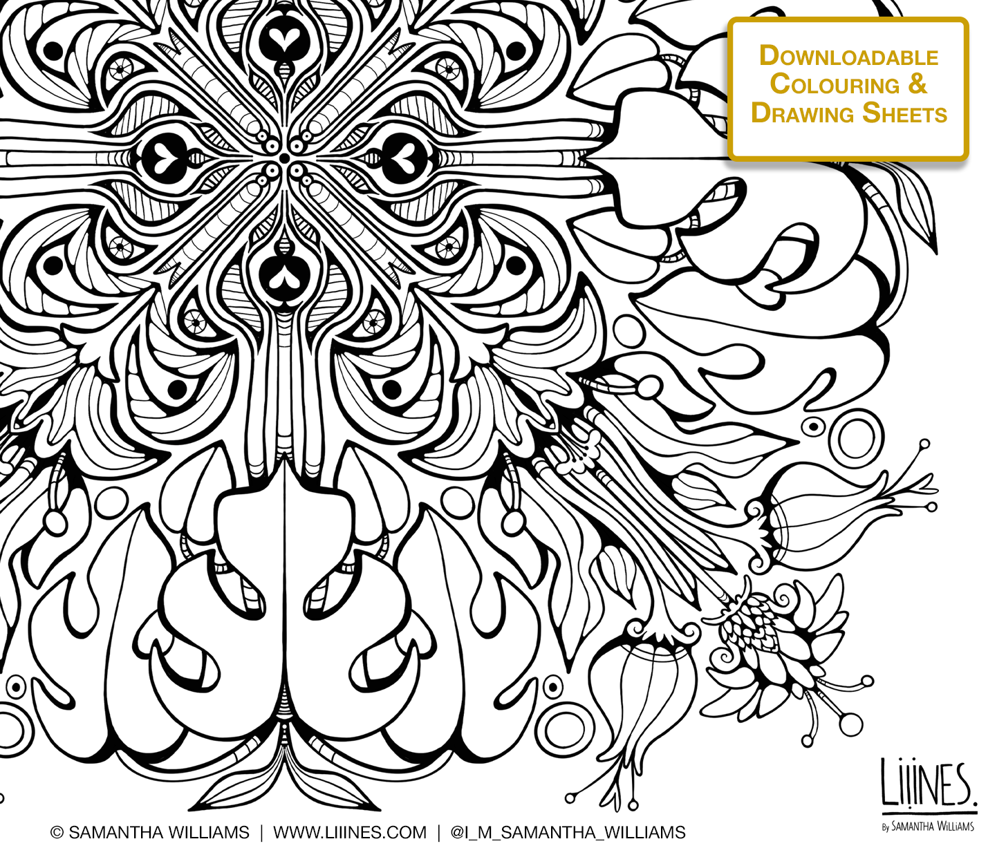 monstera coloring page Monstera Mandala