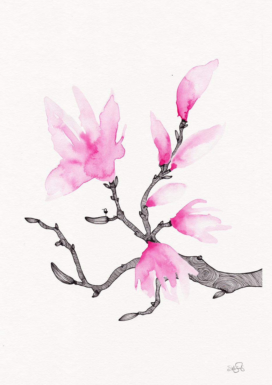 10. Magnolia